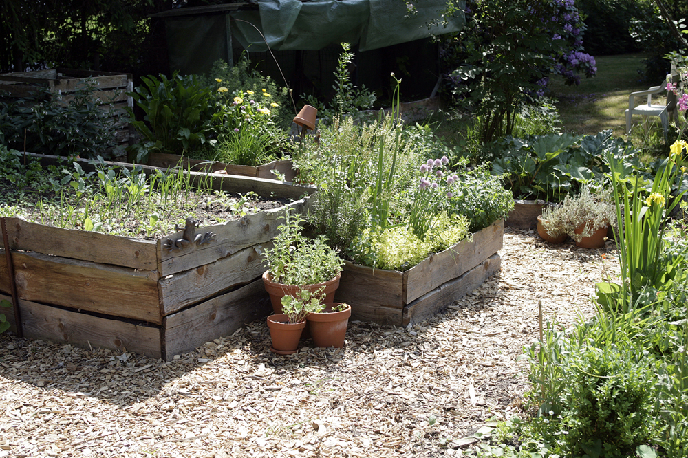 Garten%2004.JPG