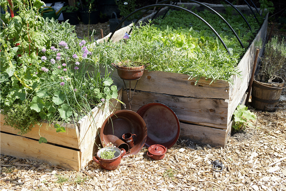 Garten%2005.JPG