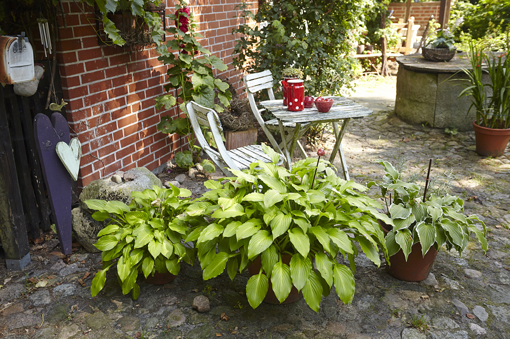 Garten%2006.JPG