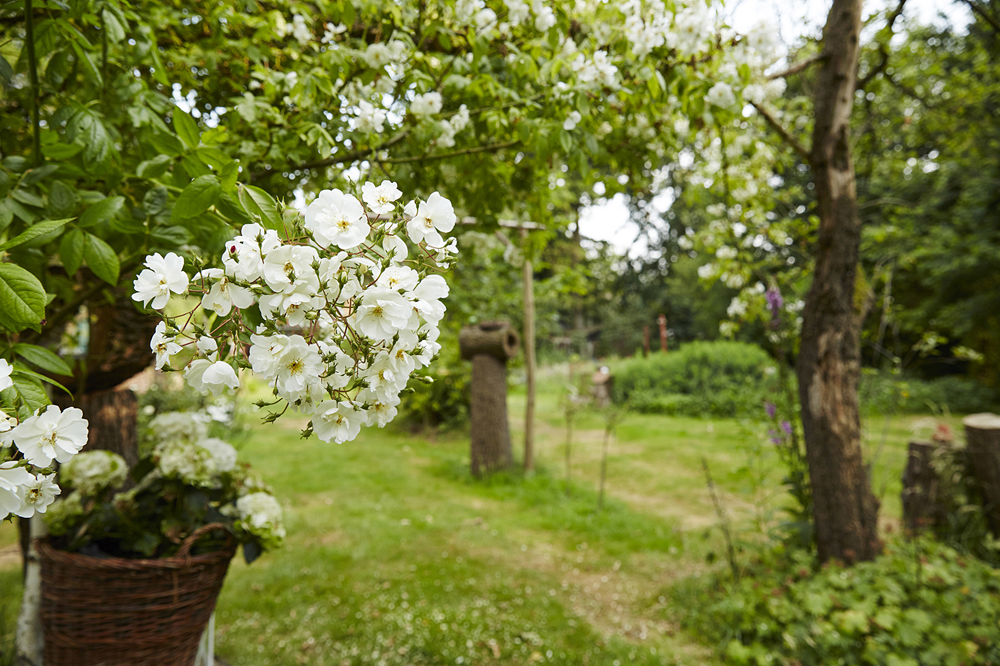 Garten%2013.JPG