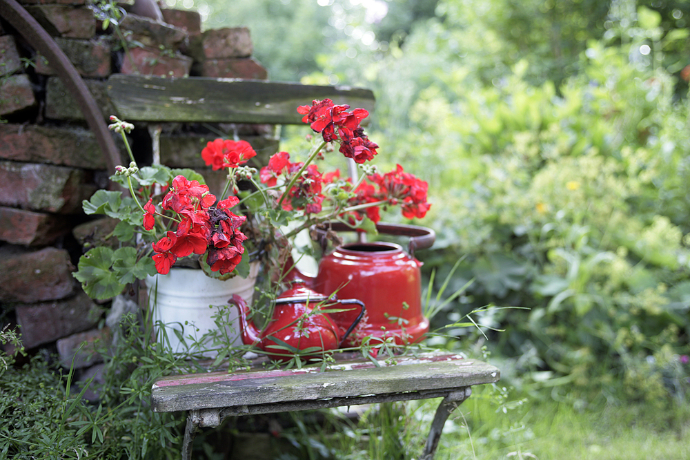 Garten%2015.JPG