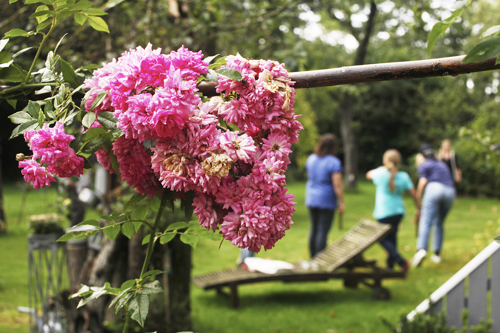 Garten%2016.JPG
