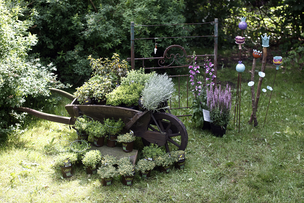 Garten%2017.JPG