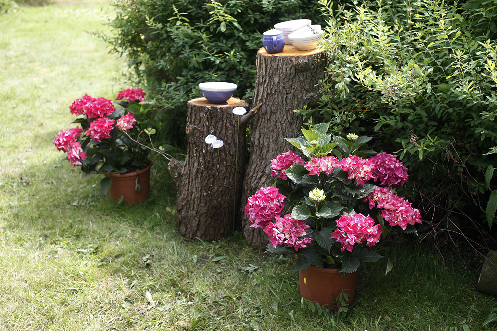 Garten%2018.JPG