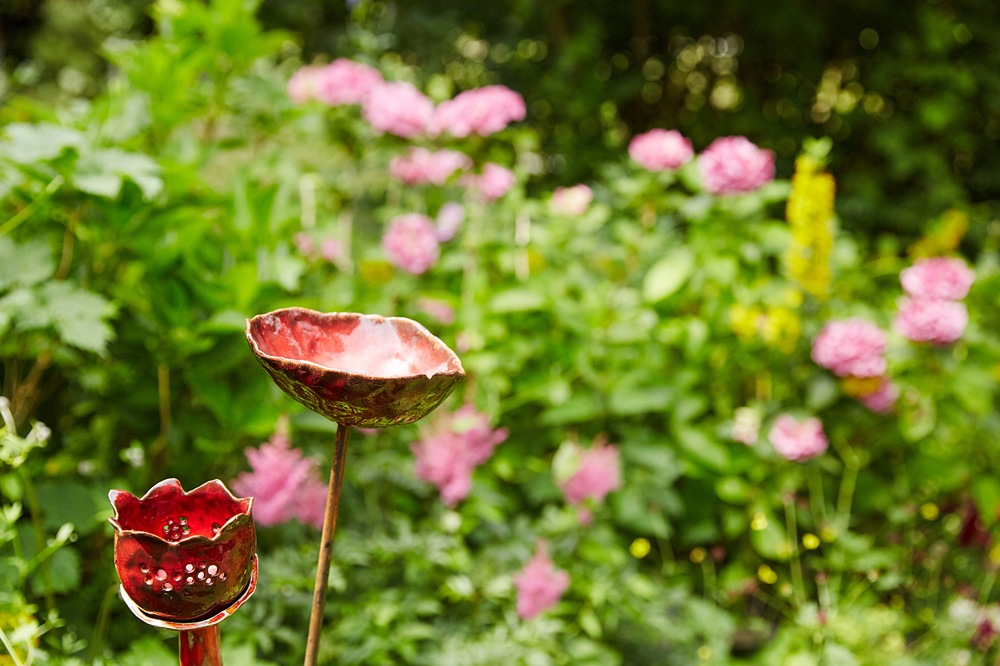 Garten%2028.JPG