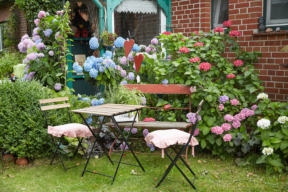 Garten%2032.JPG